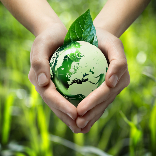 PREMAX Sustainable